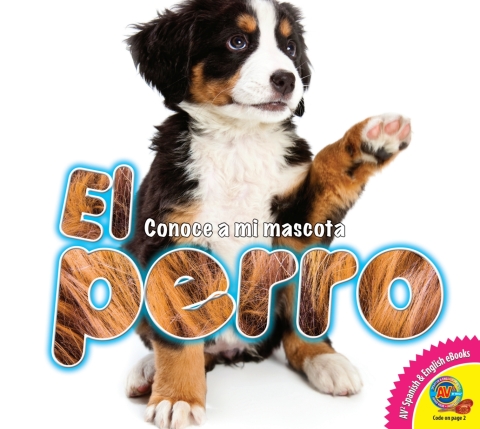 Cover image for book El perro