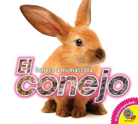 Cover image for book El conejo