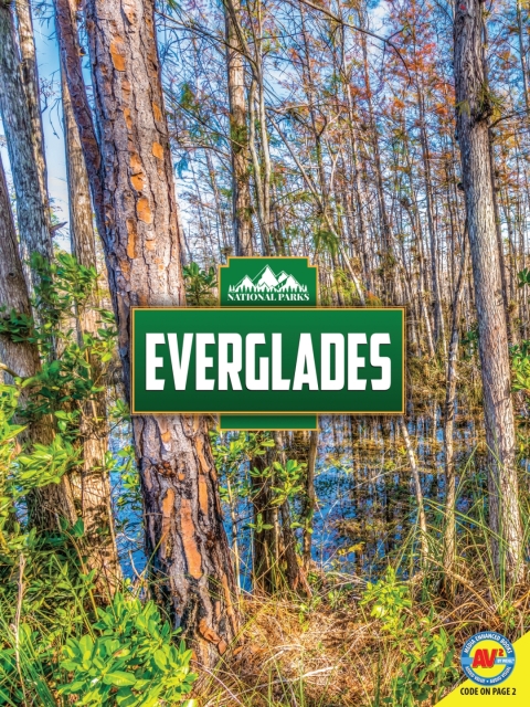 Cover image for book Everglades