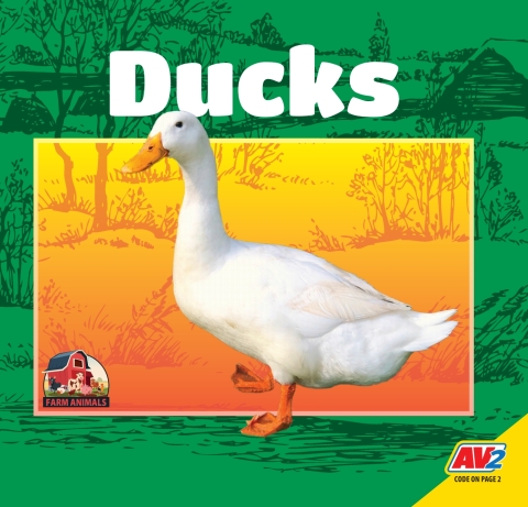 Cover image for book Ducks