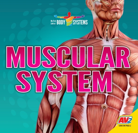 Cover image for book Muscular System