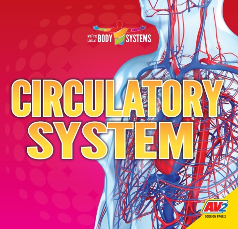 Cover image for book Circulatory System