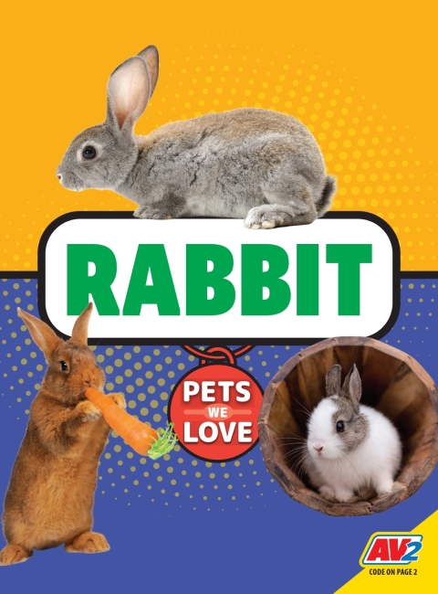 Cover image for book Rabbit