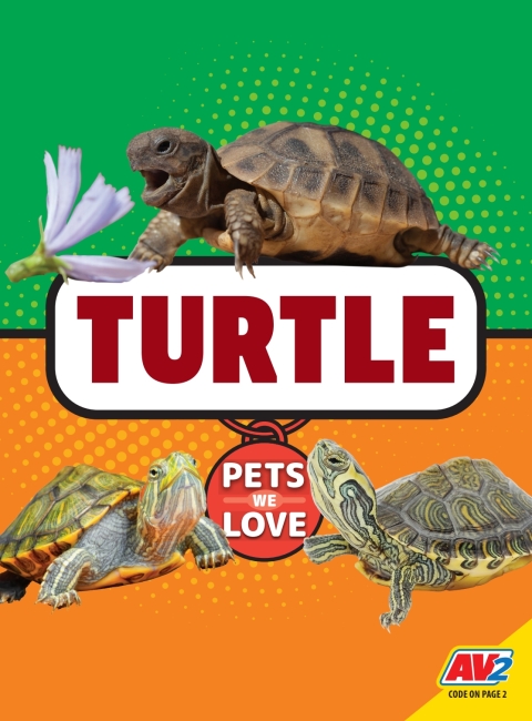 Cover image for book Turtle