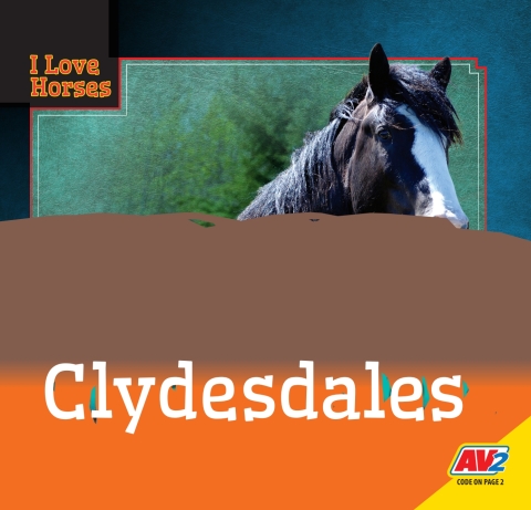 Cover image for book Clydesdales