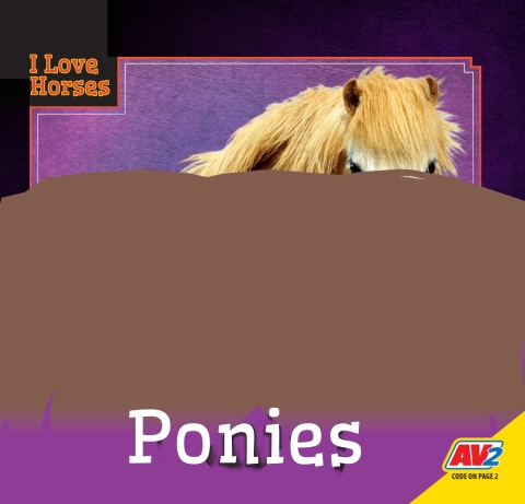 Cover image for book Shetland Ponies
