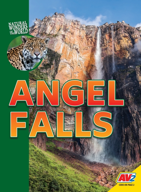 Cover image for book Angel Falls