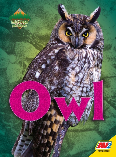 Cover image for book Owl