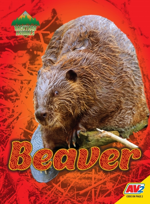 Cover image for book Beaver