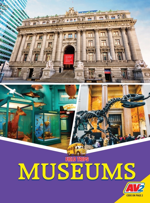 Cover image for book Museums