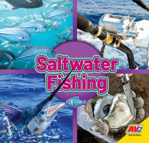 Cover image for book Saltwater Fishing