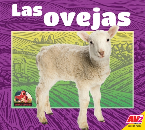 Cover image for book Las ovejas (Sheep)
