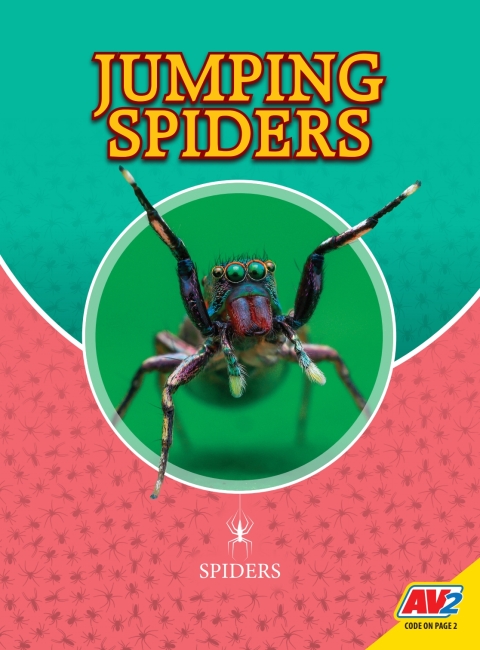 Cover image for book Jumping Spiders