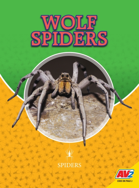 Cover image for book Wolf Spiders