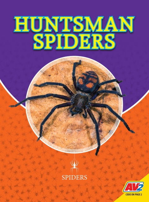 Cover image for book Huntsman Spiders