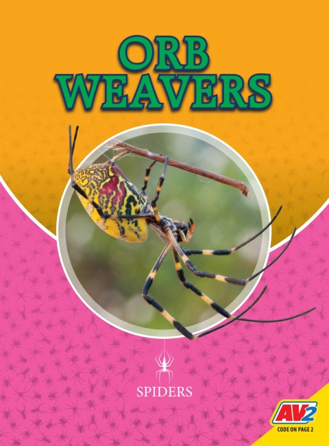 Cover image for book Orb Weavers