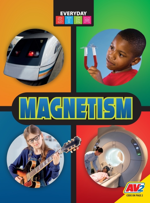 Cover image for book Magnetism