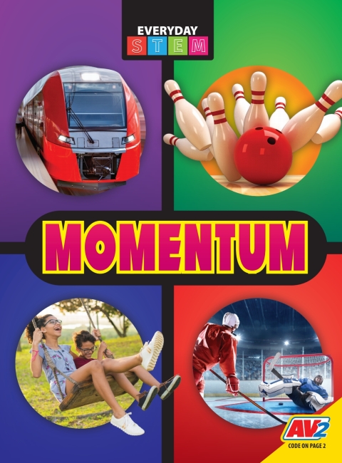 Cover image for book Momentum