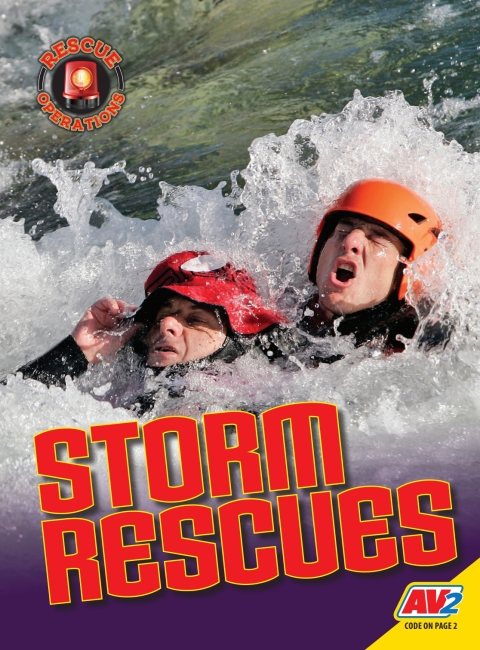 Cover image for book Storm Rescues