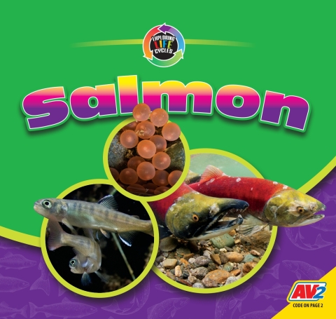 Cover image for book Salmon