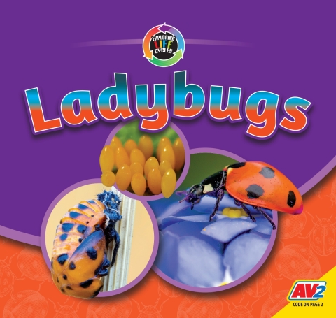Cover image for book Ladybugs