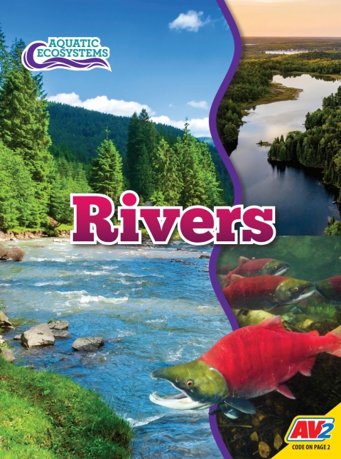 Cover image for book Rivers