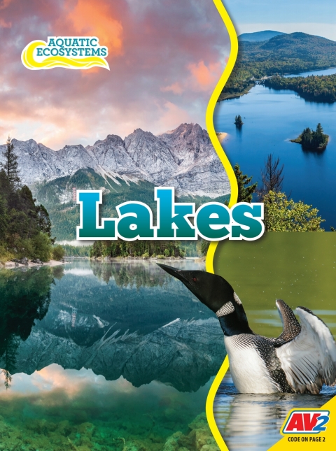 Cover image for book Lakes