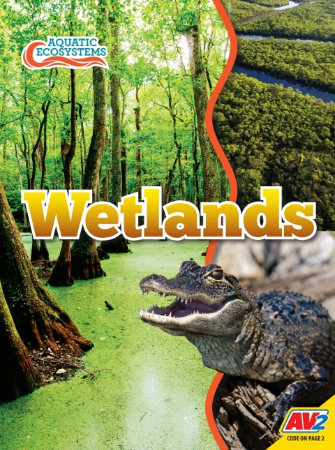 Cover image for book Wetlands