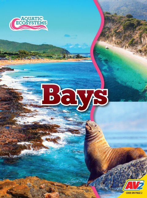 Cover image for book Bays