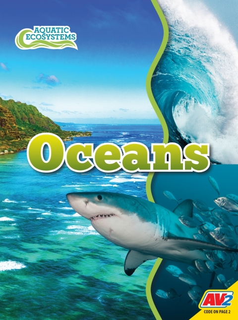 Cover image for book Oceans
