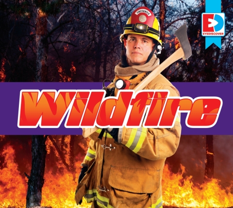 Cover image for book Wildfire
