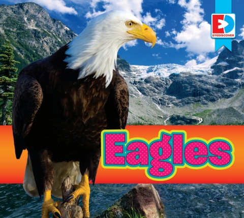 Cover image for book Bald Eagle