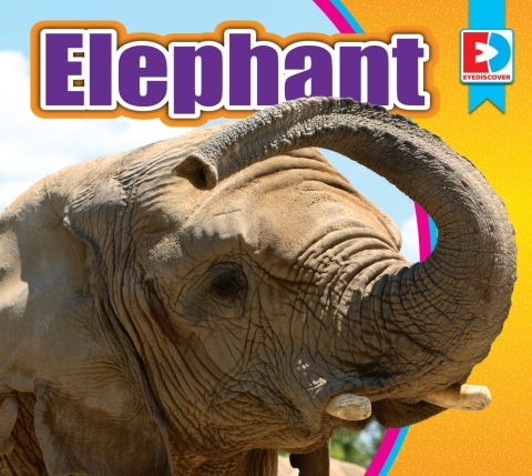 Cover image for book Elephant