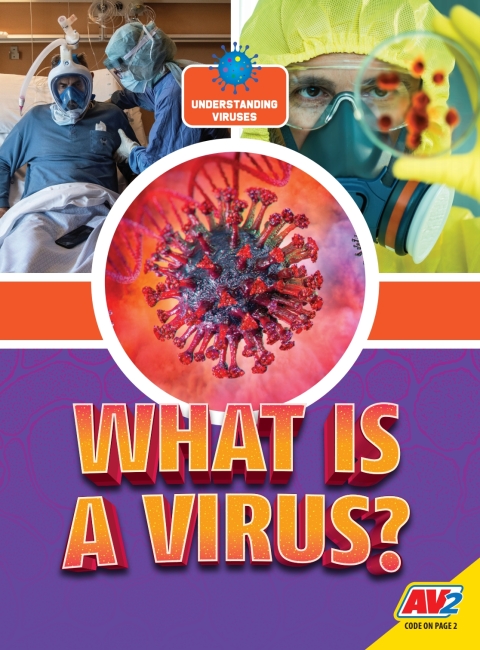Cover image for book What is a Virus?