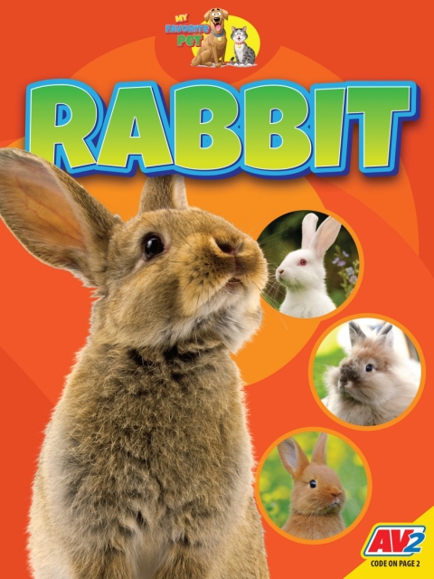 Cover image for book Rabbit