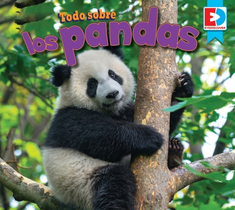 Cover image for book Todo sobre los pandas (All about Pandas)