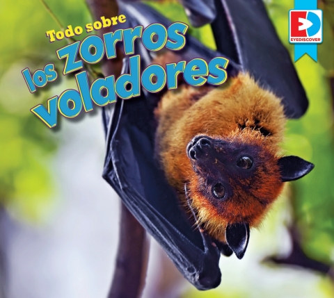 Cover image for book Todo sobre los zorros voladores (All about Flying Foxes)