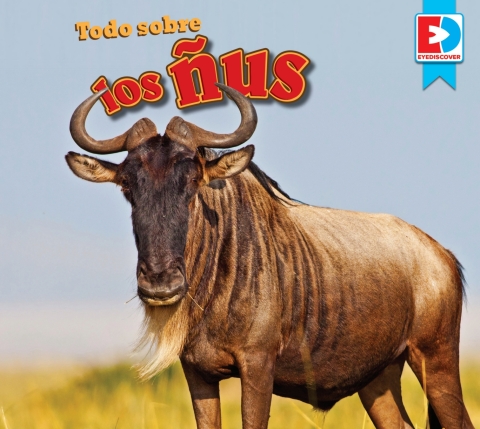 Cover image for book Todo sobre los ñus (All about Wildebeests)