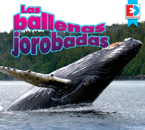 Cover image for book Las ballenas jorobadas (Humpback Whales)