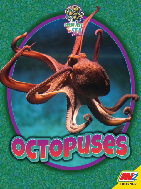 Cover image for book Octopuses