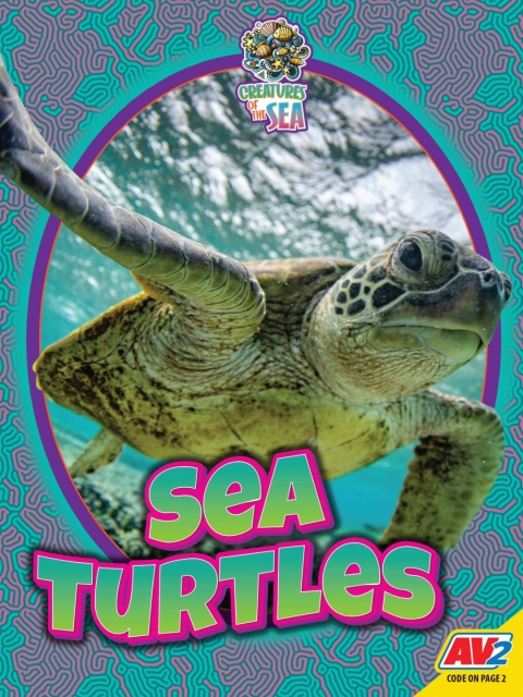 Cover image for book Sea Turtles