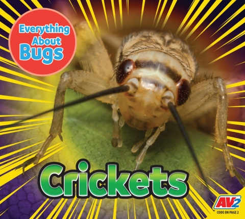 Cover image for book Crickets