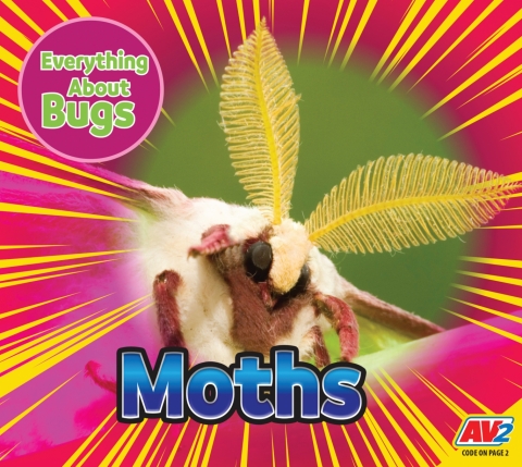 Cover image for book Moths