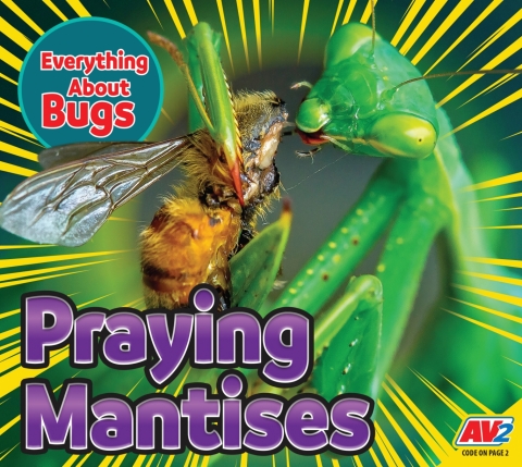 Cover image for book Praying Mantises