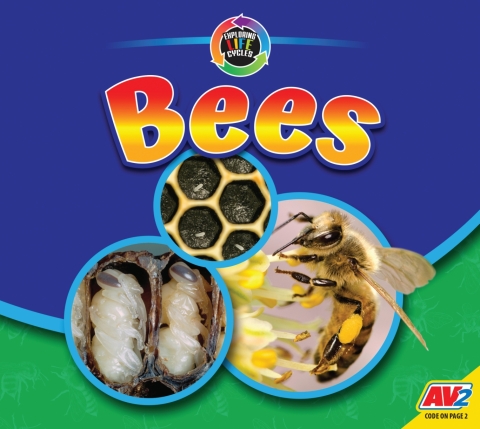 Cover image for book Bees