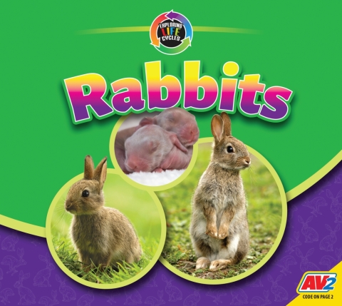 Cover image for book Rabbits