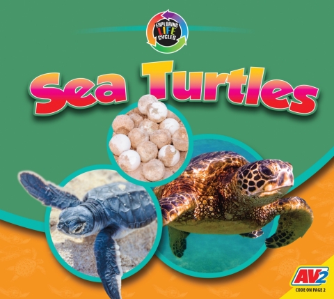Cover image for book Sea Turtles