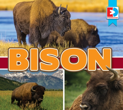 Cover image for book Bison