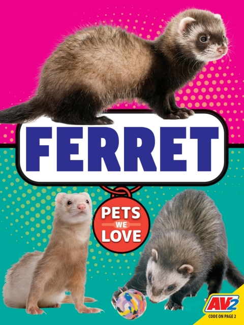 Cover image for book Ferret