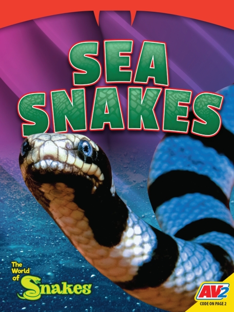 Cover image for book Sea Snakes